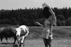 1973-013-mr