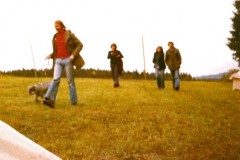 1978
