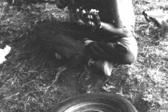 1979-039-mr