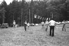1981-044-hb