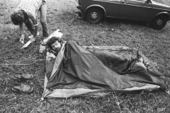 1981-051-hb