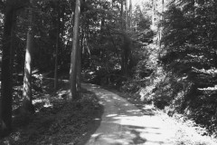 1981-061-hb