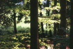 1985-075-hb