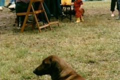 1986-034-mr