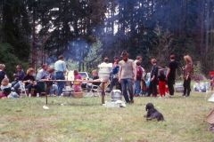 1991-003-hb