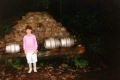 1995-020-cr