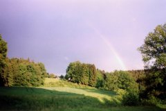 1995-021-cr