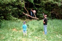 1998-030-hb