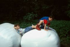 1999-046-hb