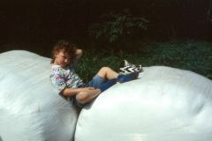 1999-049-hb