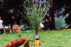 2000-113-mk