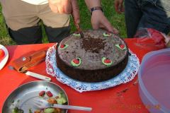 2004-017-ib
