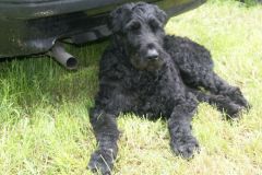 KONICA MINOLTA DIGITAL CAMERA