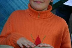 2005-061-hb