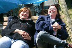 2006-041-hb