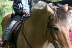 KONICA MINOLTA DIGITAL CAMERA