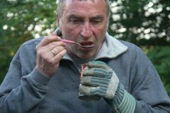 KONICA MINOLTA DIGITAL CAMERA