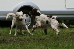 2010-3173-uk