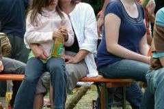 2011-384-as
