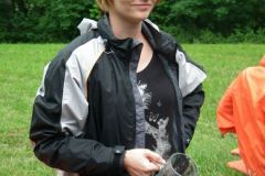 2011-393-as