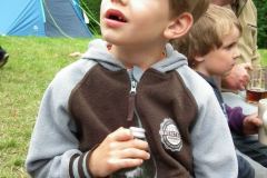 2011-427-as