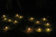 IMG_0177