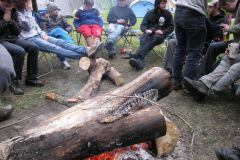 007IMG_4613